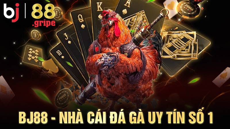 BJ88 33 BJ88 nhà cái Đá gà Casino uy tín số 1